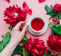 Female hand and cup with tea near peony flower