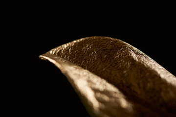 close up of golden metal decorative leaf isolated on black