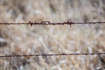 Barbed Wire
