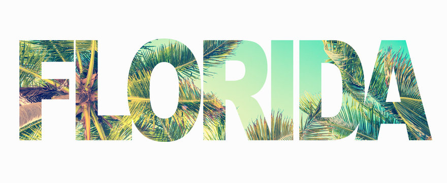 Word Florida with palm trees isolated on white background
