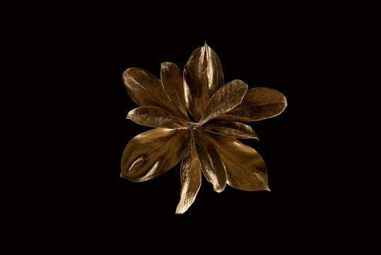 top view of golden metal flower isolated on black