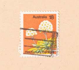 AUSTRALIA - CIRCA 1980: A stamp printed in Australia shows a flower (Helichrysum thomsonii) circa...