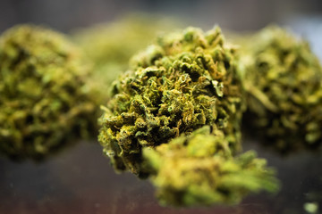 Macro close up of heap of flowers of biological and ecological hemp plant used for producing herbal...