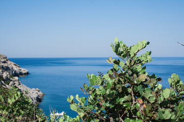view of the bay with boats and beaches