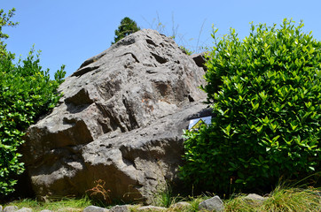 the Vorontsov Palace with the Park and sculptures