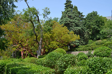 the Vorontsov Palace with the Park and sculptures