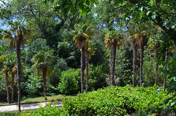 the Vorontsov Palace with the Park and sculptures