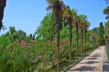 the Vorontsov Palace with the Park and sculptures