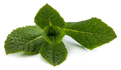 Fresh raw mint leaves isolated on white background