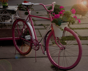 Retro pink bike with flowers