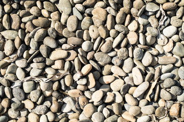 Sea stones background. Beach Rocks in water.