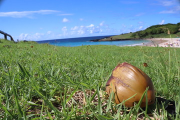 playa 1