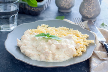Fricassee, chicken meat in a creamy sauce, with pasta, horizontal