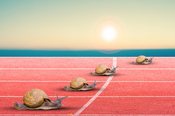 Snail effort running on red rubber track isolated on white