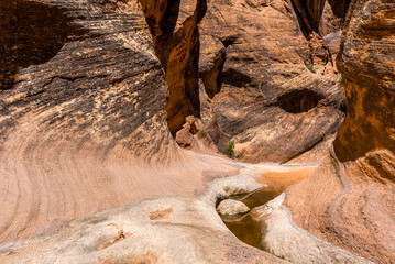 Red Reef trail in Red Cliffs Recreation Area, Utah, USA