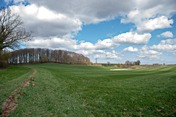 green field with blue sky 