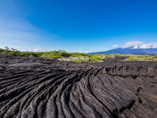 Beautiful volcanic landscape of Punta Moreno in Isabela Island, Galapagos, Ecuador