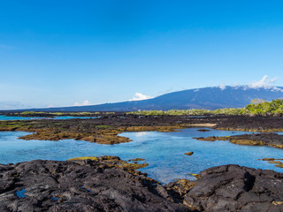 Beautiful shoreline scenery of Fernandina Island, Galapagos, Ecuador