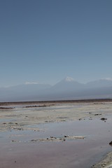 salar 4