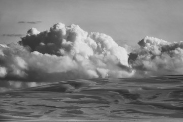 Moving sand dunes, Slowinski National Park, Leba, Poland