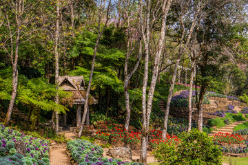 Wooden gazebo in mountain forest with cabbage and flowers beds in blossom landscape