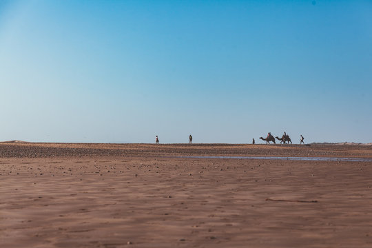eine Kamel Karawane zieht &uuml;ber den Sand vor blauem Himmel