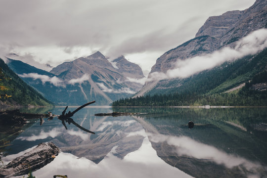 Baumreste ragen aus einem See hervor in dem sich die Berge spiegeln 