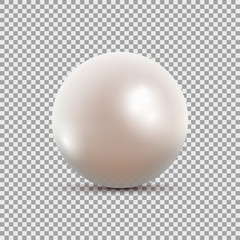 Vector illustration of single shiny natural white sea pearl with light effects isolated on transparent background.