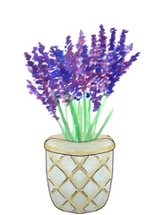lavender in a basket. watercolor illustration for design