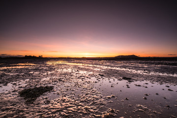 Scrabo Tower Newtownards Sunset