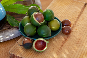 New harvest of ripe fresh Australian macadamia nuts in shell with leaves