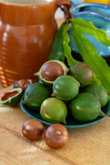 New harvest of ripe fresh Australian macadamia nuts in shell with leaves