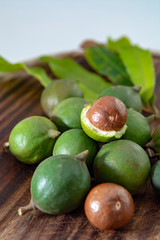 New harvest of ripe fresh Australian macadamia nuts in shell with leaves