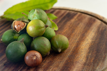 New harvest of ripe fresh Australian macadamia nuts in shell with leaves