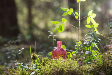 magic potion on bottle in forest