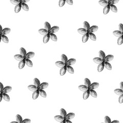 Watercolor seamless floral pattern of small black and white flowers on white background. Seamless pattern for printing on paper, textile, fabric.