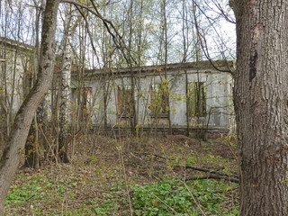 Fototapeta na wymiar The ruins of the Estate Settlement, the village of Sverdlovsk, Moscow oblast.