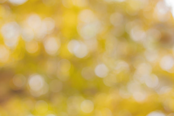 Obraz premium Przez tło prześwieca złoty liść bokeh ze światłem.