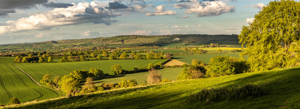 England - Chiltern Downs
