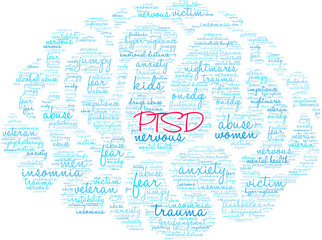Fototapeta na wymiar PTSD Word Cloud on a .white background. 