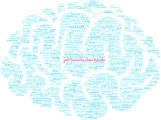 Post-Traumatic Stress Disorder Word Cloud on a white background. 
