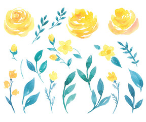 Watercolor flowers set isolated on white background. 