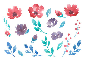Watercolor flowers set isolated on white background.