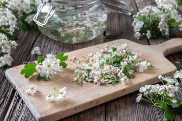 Preparation of tincture from hawthorn flowers