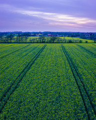 Panoramic Drone Landscape