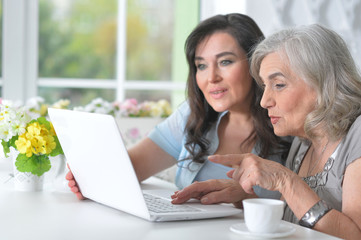 Portrait of two mature women using laptop