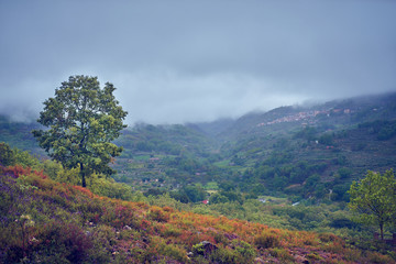 Rural landscape after a rainy spring day.
