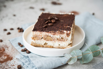 Homemade tiramisu cake. Classic Italian dessert.
