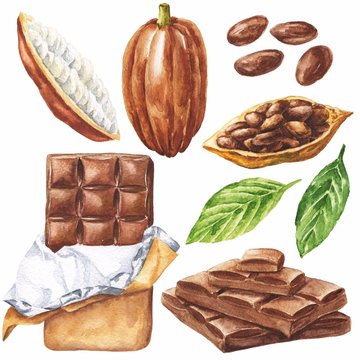 Hand drawn watercolor cocoa chocolate set isolated on white background. Realistic botanical illustration. Food drawing set.