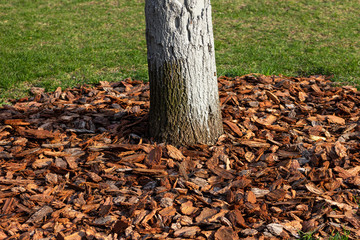 fertilizers agriculture  plant garden texture